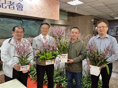 香水文心蘭品種|文心蘭盆花新品種「花木蘭」、「紅雀」 花色少見、多花且具香。